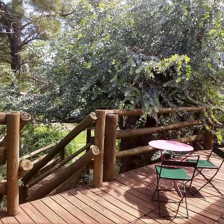 Cabanas Del Uru Colón Buitenkant foto