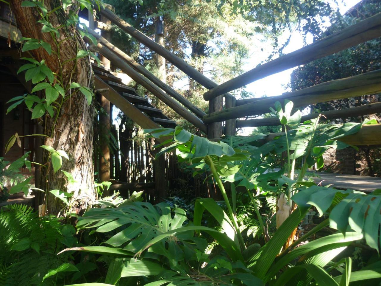 Cabanas Del Uru Colón Buitenkant foto